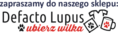 www.dlsklep.pl